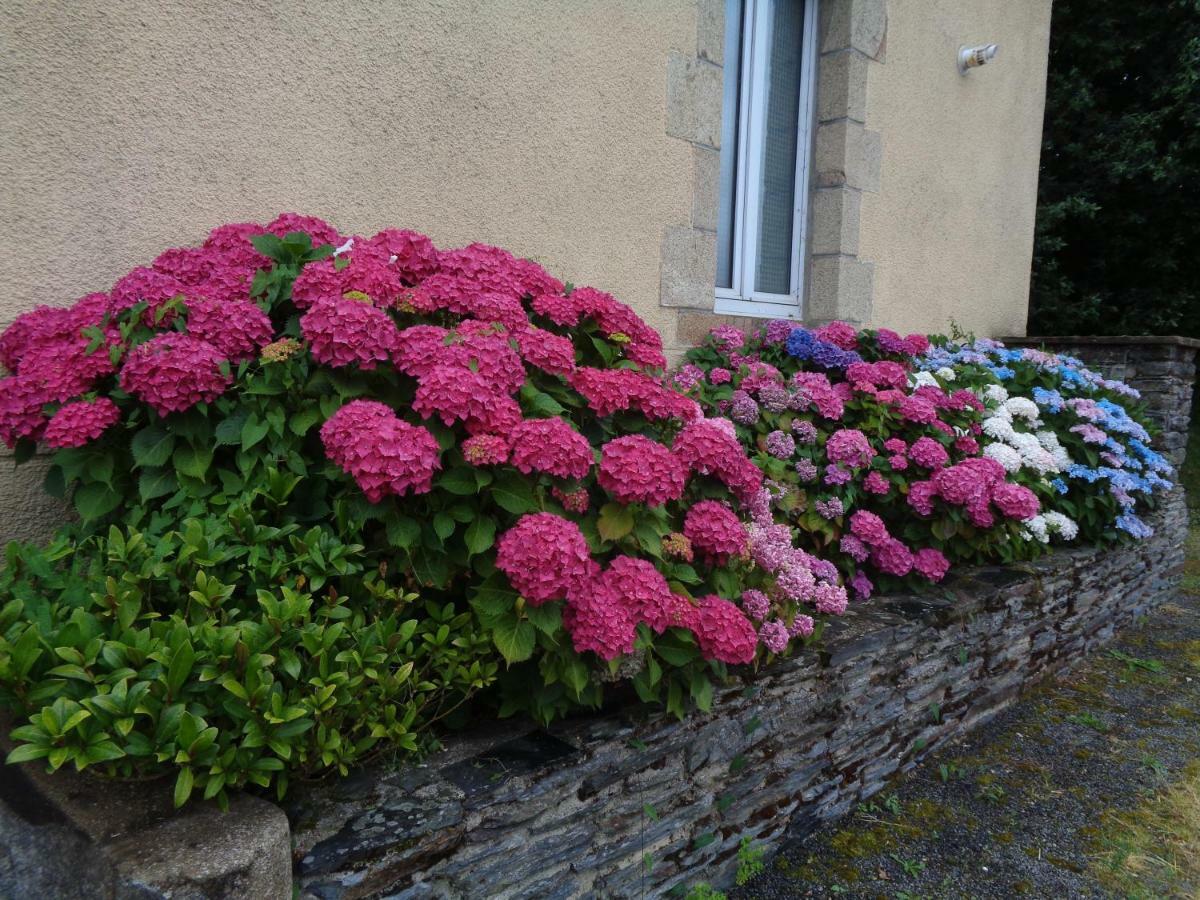 Saint-Martin-sur-Oust Popote Et Polochon Bed & Breakfast エクステリア 写真