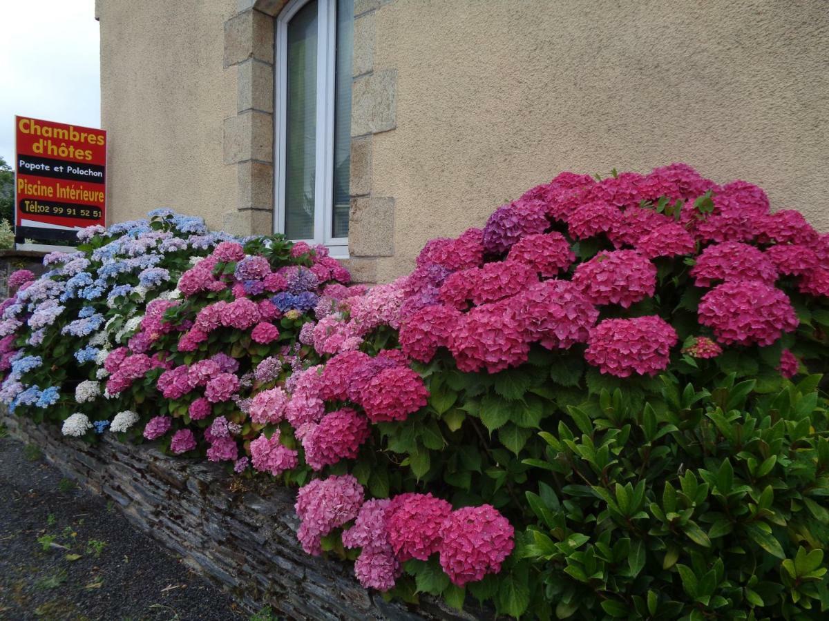 Saint-Martin-sur-Oust Popote Et Polochon Bed & Breakfast エクステリア 写真
